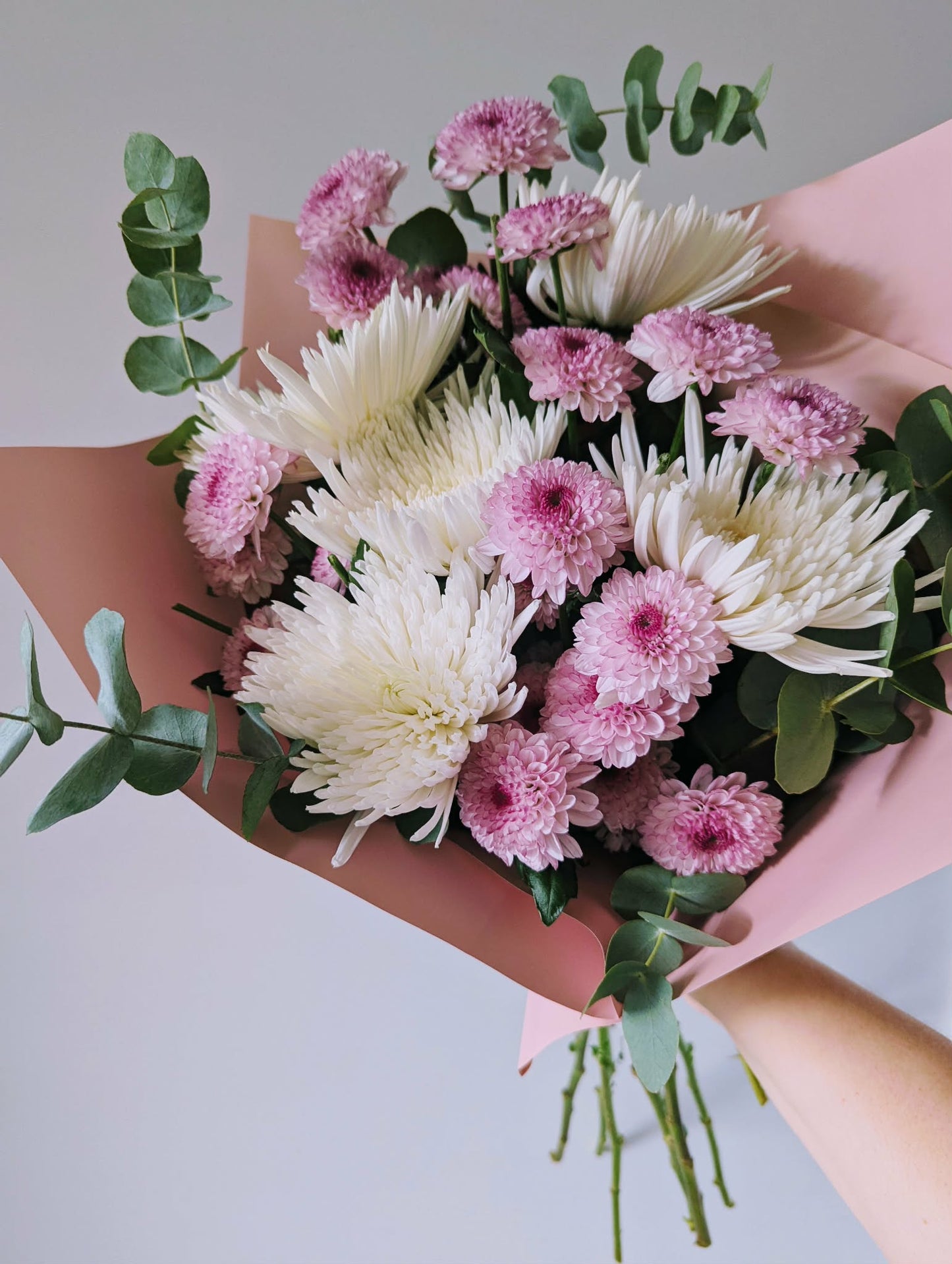Classic Chrysanthemums