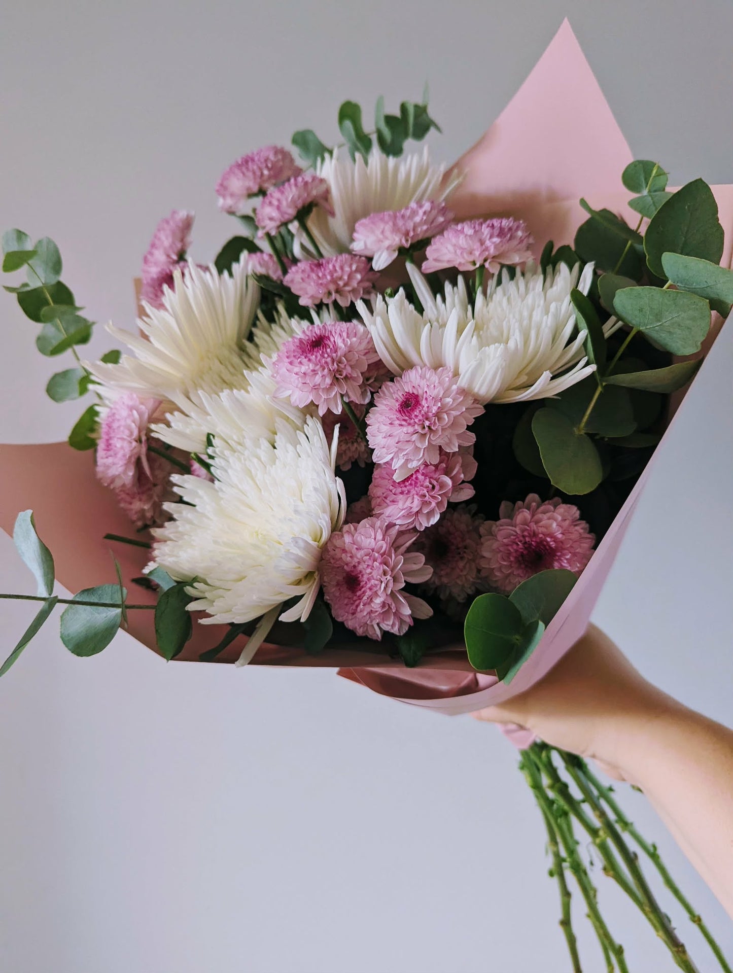 Classic Chrysanthemums