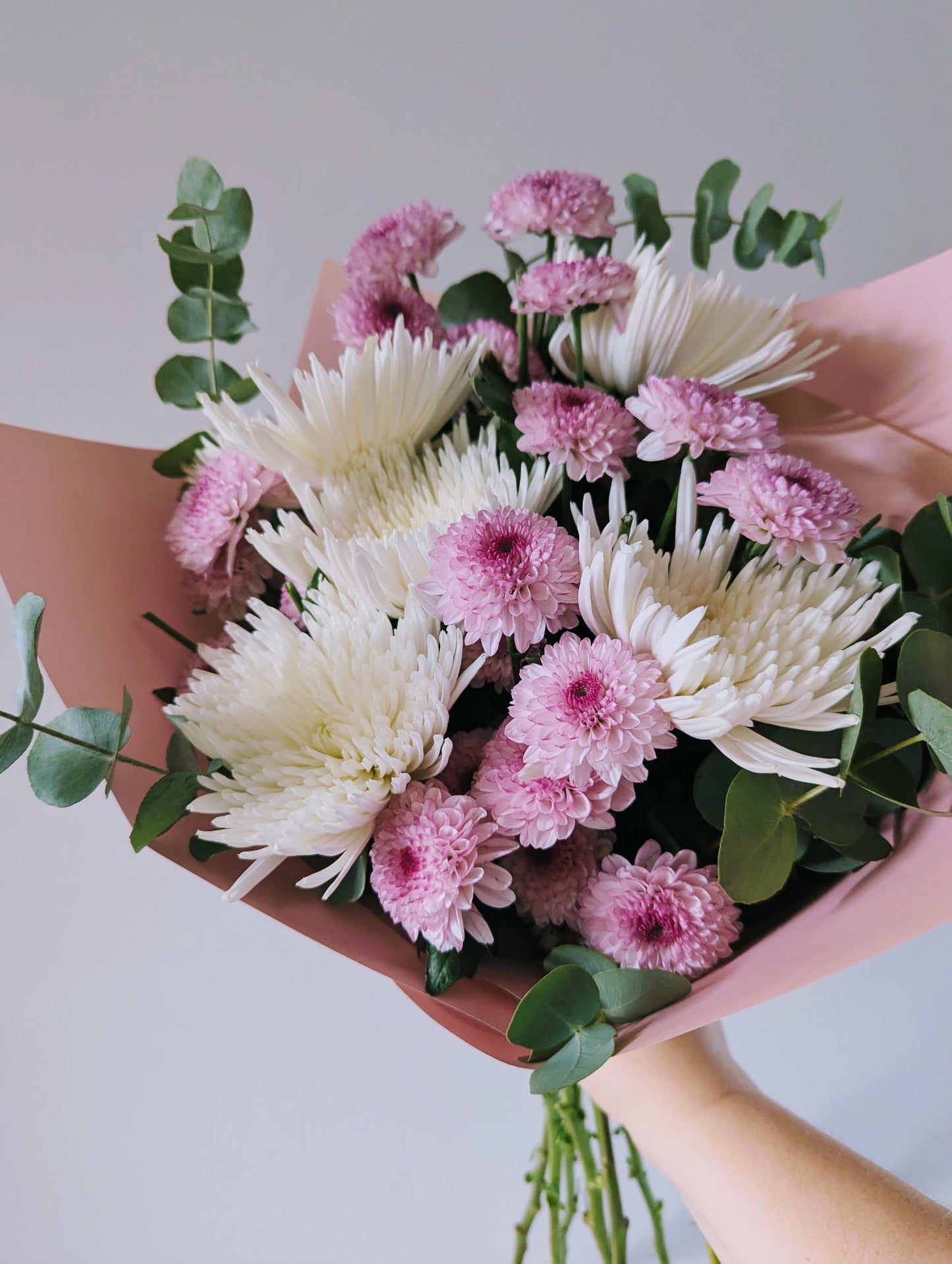 Classic Chrysanthemums