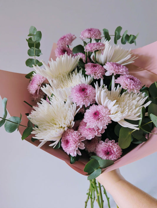 Classic Chrysanthemums