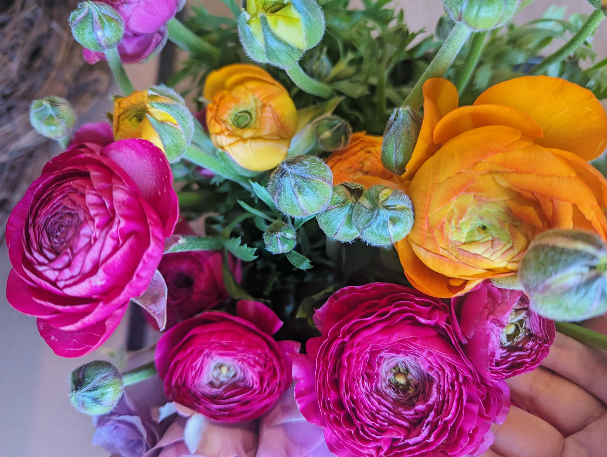 Weekly Market Bunch