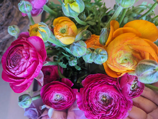 Weekly Market Bunch